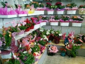 ２０１５母の日つづき｜「花の精興園」　（愛知県豊田市の花キューピット加盟店 花屋）のブログ