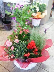 母の日お勧め｜「花の精興園」　（愛知県豊田市の花キューピット加盟店 花屋）のブログ