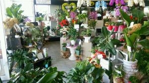 利用頻度ＵＰ｜「花の精興園」　（愛知県豊田市の花キューピット加盟店 花屋）のブログ