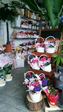 2017母の日｜「花の精興園」　（愛知県豊田市の花キューピット加盟店 花屋）のブログ